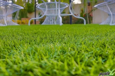آیا چمن مصنوعی برای همیشه جایگزین چمن طبیعی شده است؟